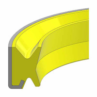Raclor 50x68x11 DWI